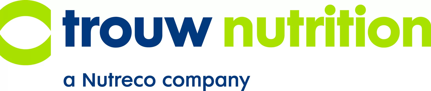 Warstwa-10